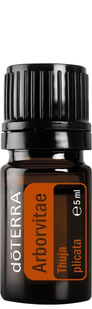 arborvitae5ml-404x1350