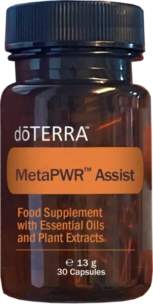 metapwr-assist-1720x1350