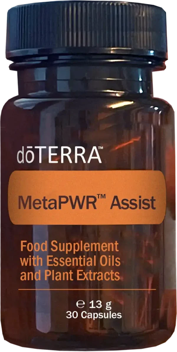 metapwr-assist-1720x1350